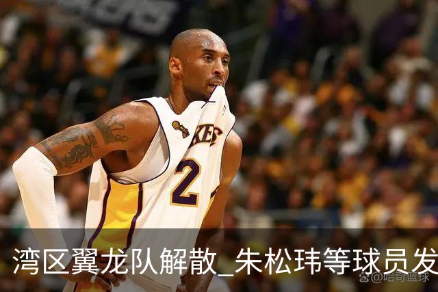 湾区翼龙队解散 朱松玮等球员发布声明维权