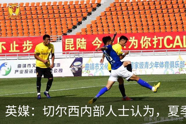 英媒：切尔西内部人士认为，夏季转会窗口的操作堪称巨大成功